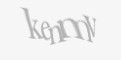 Säkerhetskod