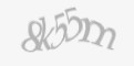 Säkerhetskod