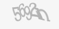 Säkerhetskod