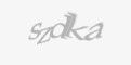 Säkerhetskod