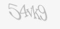 Säkerhetskod