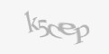 Säkerhetskod