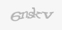 Säkerhetskod