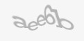 Säkerhetskod