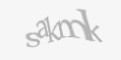 Säkerhetskod