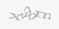 Säkerhetskod