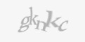 Säkerhetskod