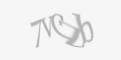 Säkerhetskod