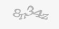 Säkerhetskod