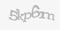 Säkerhetskod