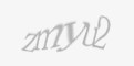 Säkerhetskod