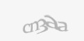 Säkerhetskod