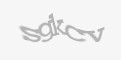 Säkerhetskod