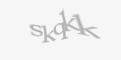 Säkerhetskod