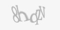 Säkerhetskod