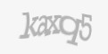 Säkerhetskod