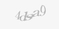 Säkerhetskod