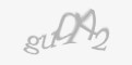 Säkerhetskod
