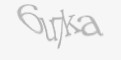 Säkerhetskod