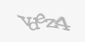 Säkerhetskod