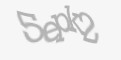 Säkerhetskod