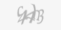 Säkerhetskod