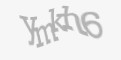 Säkerhetskod