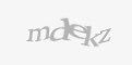 Säkerhetskod