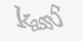 Säkerhetskod