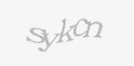 Säkerhetskod
