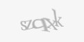 Säkerhetskod