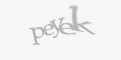Säkerhetskod