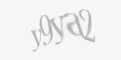 Säkerhetskod