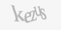 Säkerhetskod