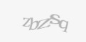 Säkerhetskod