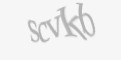 Säkerhetskod