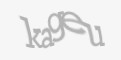 Säkerhetskod