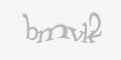 Säkerhetskod