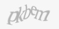 Säkerhetskod