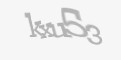 Säkerhetskod