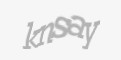 Säkerhetskod