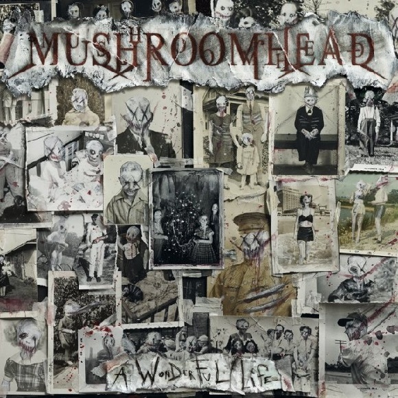 mushroomheadwonderfullife